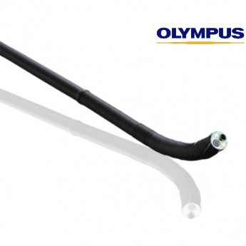 Видеобронхоскоп OLYMPUS BF-F260 Высокое разрешение NBI